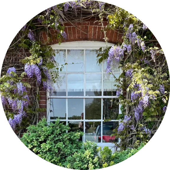 exterior of the salwey arms, ludlow, showing a beautiful wisteria